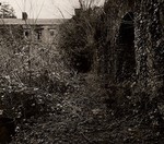 ABERGLASNEY, Llangathen, Carmarthenshire 1995