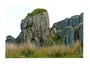 Rock & Sheep (Ceredigion) - Greetings Card