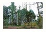 Gellideg (Carmarthenshire) - Greetings Card